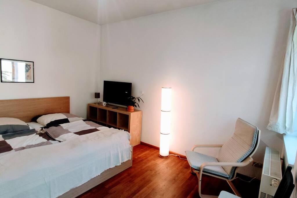 Modern Studio08 With Big Balcony In The Neustadt Dresden Luaran gambar